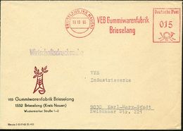 BRIESELANG (KR NAUEN)/ VEB Gummiwarenfabrik 1965 (19.10.) AFS Klar Auf Firmen-Bf.: VEB Gummiwarenfabrik Brieselang.. (Ab - Other & Unclassified