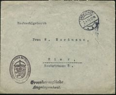 DARMSTADT 1 1914 (2.4.) 1K + Viol. 2L: Grossherzogl./Angelegenheit + Viol.Oval-HdN: ..GROSSHERZOGL. HOFTHEATER U.D.HOFMU - Sonstige & Ohne Zuordnung