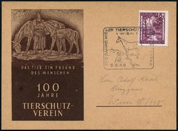 ÖSTERREICH 1946 (14.9.) SSt.: 1 WIEN 1/100 JAHRE WIENER TIERSCHUTZVEREIN = Hund (Pferd U. Taube) Auf Jubil.- Künstler-So - Other & Unclassified