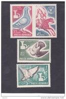 PIGEONS & COLUMBIFORMES,1965,Yv .#  2167-69,MNH,MINT ROMANIA. - Tauben & Flughühner