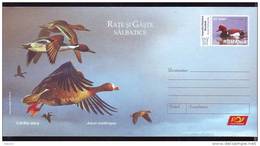 Cover Stationery,entier Postaux,- BIRD CYGNES - ANSER ERYTHROPUS - ,code. 55/2007 Romania. - Schwäne