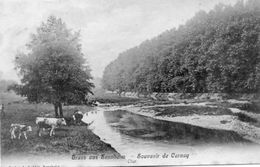 CPA - CERNAY (68) - Gruss Aus - Pâturage Sur Les Bords De La Thur En 1906 - Cernay