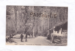 St-Aubin (Suisse)  - Promenade Du Petit - Bois. - Saint-Aubin/Sauges