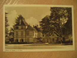 Delcampe - COPPET Chateau Castle Parc Post Card VAUD Switzerland - Coppet