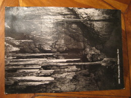 WURZELGROTTE Hollgrotten Baar Grotto Cave Caving  ZURICH 1991 WWF Panda Bear Cancel To Sweden Post Card ZUG Switzerland - Baar