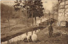 Framont Paliseul - Route De Maisin Et La Scierie - Homme Avec Moutons - Circulé 1927 - Edit. Bodson Labbé - Paliseul