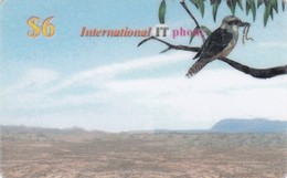 Bird On $6 International IT Phone Card, 2 Scans.  Probably Fake Palestinian Card ? - Palestine