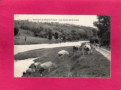 42 Loire, Environs De Feurs, Les Bords De La Loire, Animée, Bovins, (Catala) - Feurs