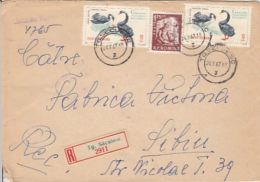 BLACK SWAN, CONSTRUCTION WORKER, STAMP ON REGISTERED COVER, 1967, ROMANIA - Lettres & Documents