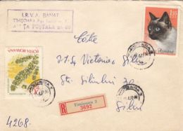 WATERWHEEL PLANT, DOMESTIC CAT, STAMP ON REGISTERED COVER, 1967, ROMANIA - Brieven En Documenten