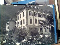 SUISSE,SWITZERLAND,SCHWEIZ,SVIZZERA TICINO MAGGIA  OSPIZIO E GIARDINO N1960 GI17803 - Maggia