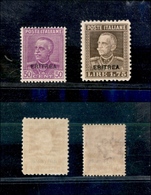 1154 COLONIE – ERITREA - 1928/1929 - Soprastampati (136/137) - Serie Completa - Gomma Integra (650) - Other & Unclassified
