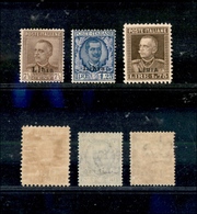 1171 COLONIE – LIBIA - 1928/1929 - Soprastampati (78/80) - Serie Completa - Gomma Integra (550) - Other & Unclassified