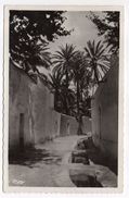 Algérie--LAGHOUAT--Une Rue De La Grande Ségura-- - Laghouat