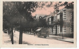 CPA Colorisée - ALGERIE - Saïda  :  Avenue Gambetta - Saïda