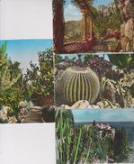 MONACO . Jardin Exotique  Lot 8 CPSM 9X14 - Exotic Garden