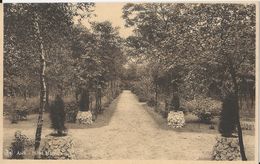 Asch   -   Hotel Mardaga    -    Het Park  -   1951  Tongeren  Naar  Borgerhout - As