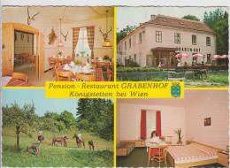 AK - KÖNIGSTETTEN (Bez. Tulln)  - Pension-Restaurant "Grabenhof" - Tulln