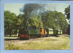 Sabres (40) Train De Marquèze Locomotive Corpet-Louvet Wagon Dyle & Bacalan Ecomusée De La Grande Lande 2 Scans - Sabres