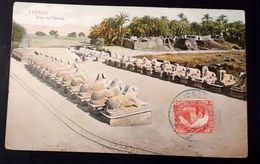 HC -  1909 - Egipt - Karnak- Postcard - Sphinxs - Scarce - Sphynx