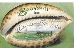 COQUILLAGE (grain De Café ) Carte Gaufrée  SOUVENIR FROM WILMINGTON (Dela) To WEISSPORT (PA) 1908 N° 364 - Wilmington