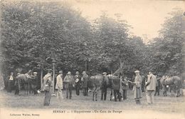 27-BERNAY- L'HIPPODROME - UN COIN DU PESAGE - Bernay