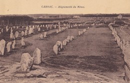 CARNAC. - Alignements Du Ménec - Dolmen & Menhire