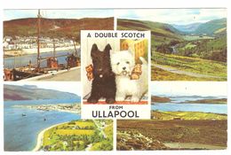 Ullapool - A Double Scotch From Ullapool - Multiview - 1975 - Ross & Cromarty