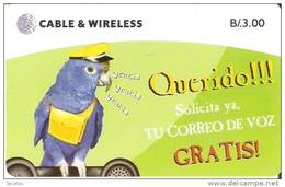 TARJETA DE PANAMA DE UN LORO (BIRD-PAJARO-PARROT) - Pappagalli