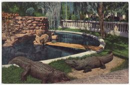 USA, El Paso TX, Alligator Pool, San Jacinto Plaza, C1940s Unused Vintage Texas Postcard M8757 - El Paso