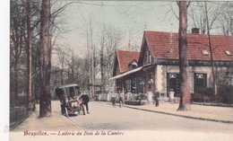 LAITERIE DU BOIS DE LA CAMBRE - Old Professions