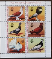 RUSSIE- Ex URSS,  Oiseaux, Pajaros, Aves, Birds, Feuillet 6 Valeurs Se Tenant MNH, Neuf Sans Charniere ** (3) - Palomas, Tórtolas