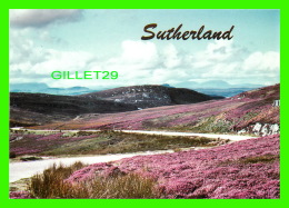 SUTHERLAND, SCOTLAND -  THE WINDING MOORLAND ROAD BETWEEN MELVICH & BETTYHILL ON THE NORTH COAST - ANNE BAXTER - - Sutherland