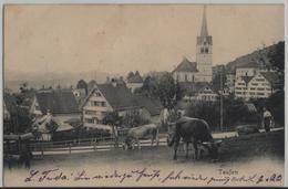 Teufen - Dorfpartie Mit Kühen Vaches, Animee - Photo: Wehrli - Teufen