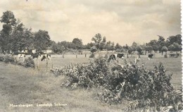 Maarsbergen, Landelijk Schoon - Maarsbergen