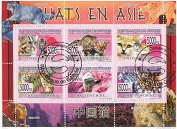 6088 Guinea 2008 Asian Cats Chats En Asie Gatti Asia CTO Perf. Guinee - Guinea (1958-...)