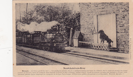 CPA (76) NEUFCHATEL En BRAY Chien Garde-Barrière Phénomène Train Ligne Paris-Dieppe Passage à Niveau - Offranville