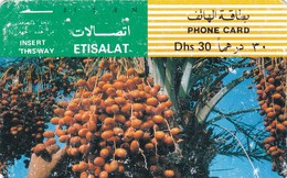 United Arab Emirates, AE-ETI-TAM-0028, Date Palm Clusters.   Slight Wear - Emirati Arabi Uniti