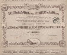 1910 - ACTION DE 100 FRANCS - SOCIETE DU GAZ D'ALCOOL & DES DISTILLERIES DU SAHEL (ALGER) - SIEGE SOCIAL A TOULOUSE - Electricité & Gaz