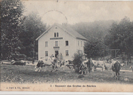 SOUVENIR DES GROTTES DE RECLERE   . RESTAURANT EPICERIE DES GROTTES . BEAU CACHET AU VERSO - Réclère