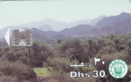 United Arab Emirates, AE-ETI-CHP-0020, Palm Tree Grove (C/N "9644"), 2 Scans. - Emirati Arabi Uniti