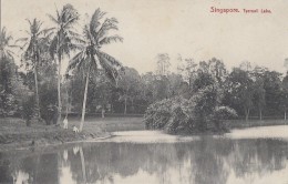 Singapour - Singapore - Tyersall Lake - Singapore