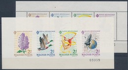 ** 1964 Monográfia Kisívpár (10.000) - Other & Unclassified