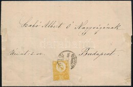 1873 Budapest Helyi Nyomtatvány 2kr Bérmentesítéssel - Other & Unclassified