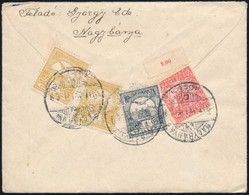 1917 Levél Turul-Hadisegély III. Bérmentesítéssel 'NAGYBÁNYA' - Budapest - Other & Unclassified