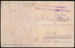 1917 Tábori Posta Képeslap 'Honvéd Tisztjelölt Tanf. Parság. TP. 650' - Other & Unclassified