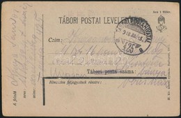 1918 Tábori Posta Levelezőlap 'M.kir. 39/1 Honvéd Tábori ...' + 'TP 425 A' - Other & Unclassified