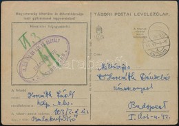 1944 Tábori Posta Levelezőlap / Field Postcard 'M.KIR. 103. GV. LGV. TÜ. OSZTÁLY 2. ÁGYUS ÜTEG' - Other & Unclassified