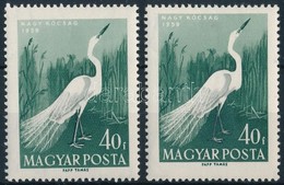 ** 1959 Madarak 40f Fehér Lábú Kócsag + Támpéldány - Other & Unclassified