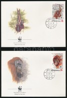 1989 WWF: Orangután Sor 4 Db FDC-n Mi 1291-1294 - Other & Unclassified